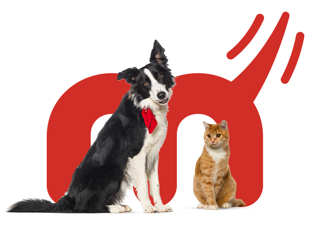 Petmark, alimenti e prodotti per animali